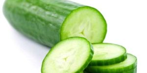 Fresh Cucumber