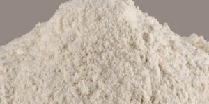 Dehydrated White Onion Powder