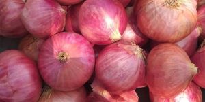 Fresh Pink Onion