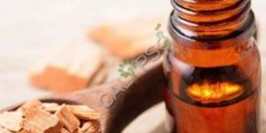Sandalwood Oil