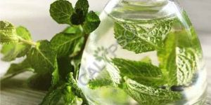 Spearmint Oil