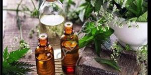 Tea Black Absolute Oil