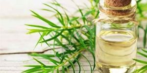 Tea Tree Oil