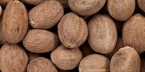 Nutmeg