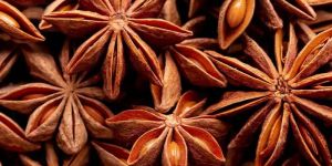 Star Anise