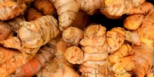 Turmeric Natural Color