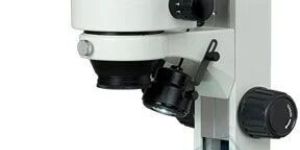 Zoom Stereo Microscope