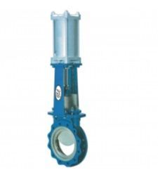 pneumatically actuated valve