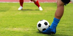 titanium sports landscaping turf