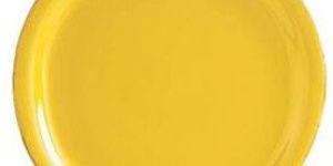 Acrylic Service Tray