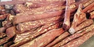 a Grade Red Sandalwood Logs