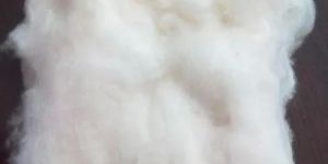 White Cotton Fiber