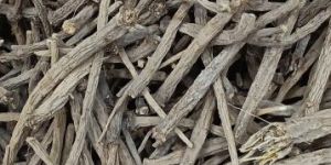 Akarkara Irani Roots