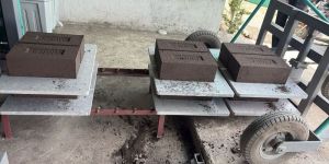 Fly Ash Brick Pallet