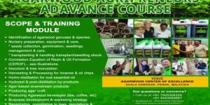 Agarwood Training Service