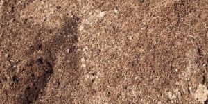 Post Distilled Agarwood Powder