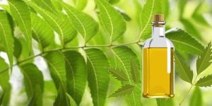 Neem Pure Cold Pressed Oil