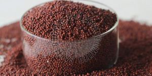 Finger Millet