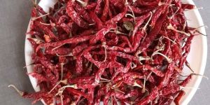 Syngenta Dry Byadgi Red Chilli