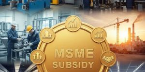 Msme Subsidy Services