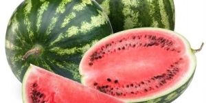 Premium Sweet Export Quality Watermelon