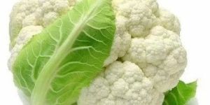 Premium White Cauliflower