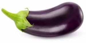 Royal Purple Brinjal