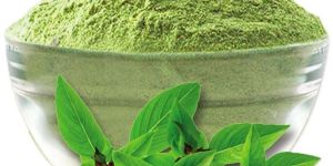Tulsi Powder