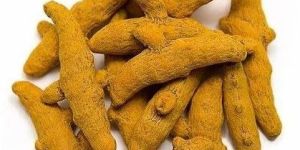 Whole Dried Turmeric Root