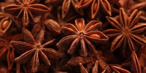 Star Anise