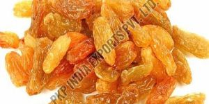 Golden Dried Raisins