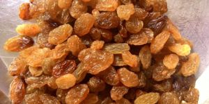 Malayar Dried Raisin