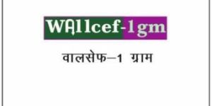 Wallcef 1gm Injection