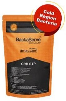 Bactaserve STP Crb Bioculture