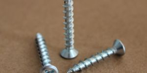 Window Screws