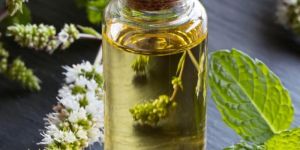 Peppermint Oil