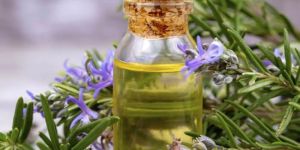 Rosemary Oil