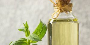 Spearmint Oil