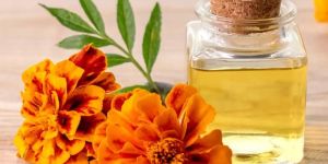 Tagetes Oil