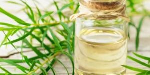 Tea Tree Oil
