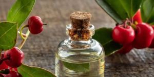 Wintergreen Oil