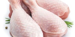 Fresh Chicken Drumstick with Skin