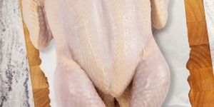 Fresh Whole Chicken Meat