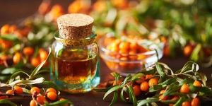 Seabuckthorn Oil