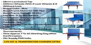 foldable table tennis table