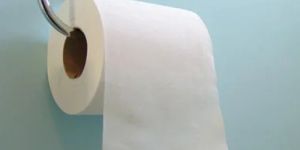 Toilet Paper Roll