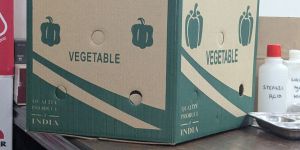 Vegetable Corrugated Boxes