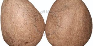 Organic Whole Coconut Copra