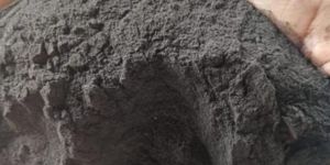 Seaweed Extract Powder