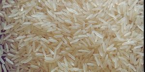 Sugandha White Sella Non Basmati Rice